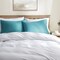 Pillow Case Set Standard or King Pillowcase Set of 2 Pillowcases